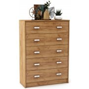 дуб золотистый