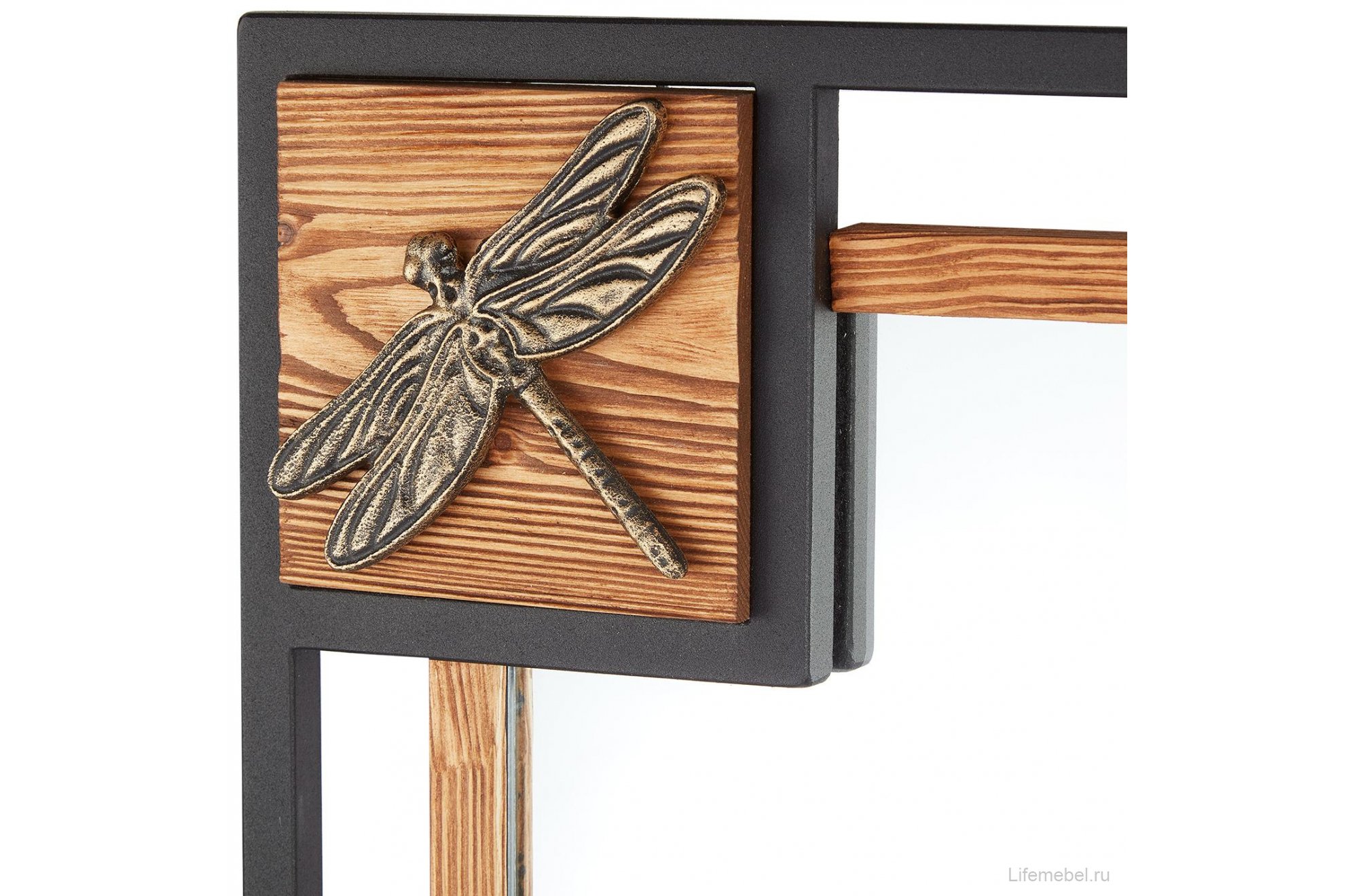 Зеркало Стрекозы V20042