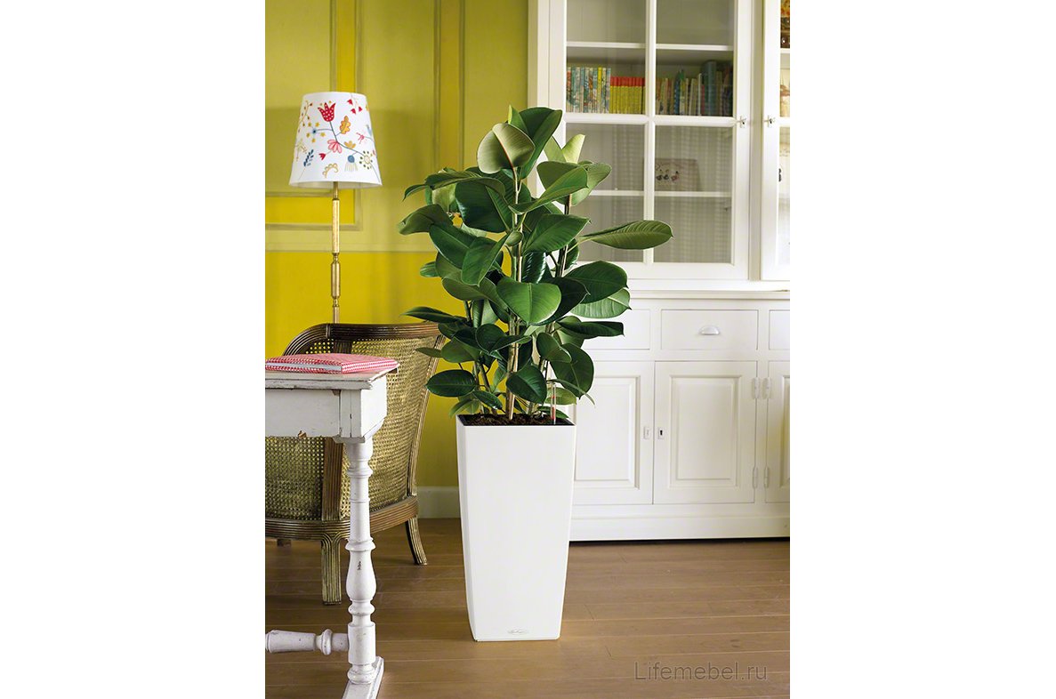 Кашпо Lechuza 13150 CUBICO Color 40 Белый