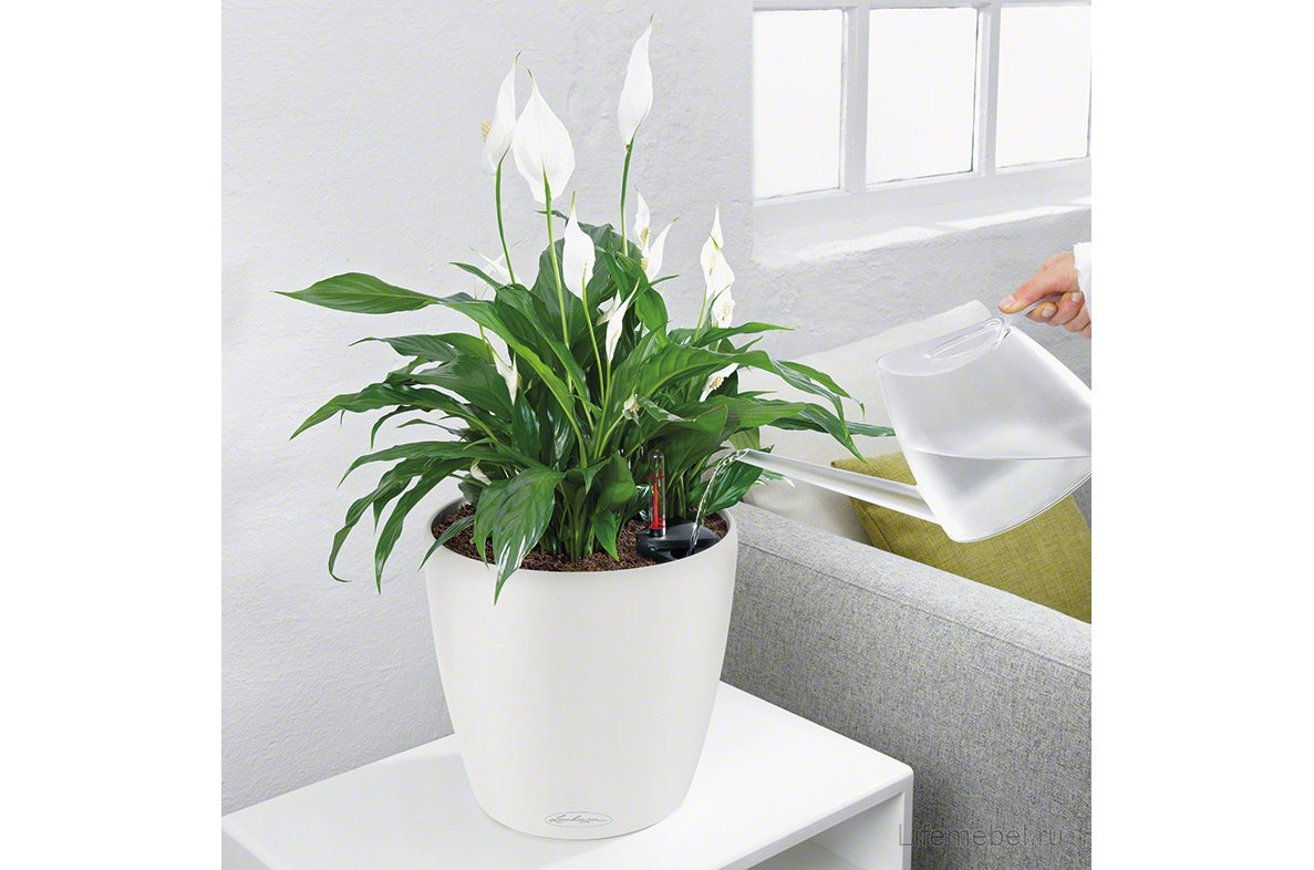 Кашпо Lechuza 13184 CLASSICO Color 21 серый