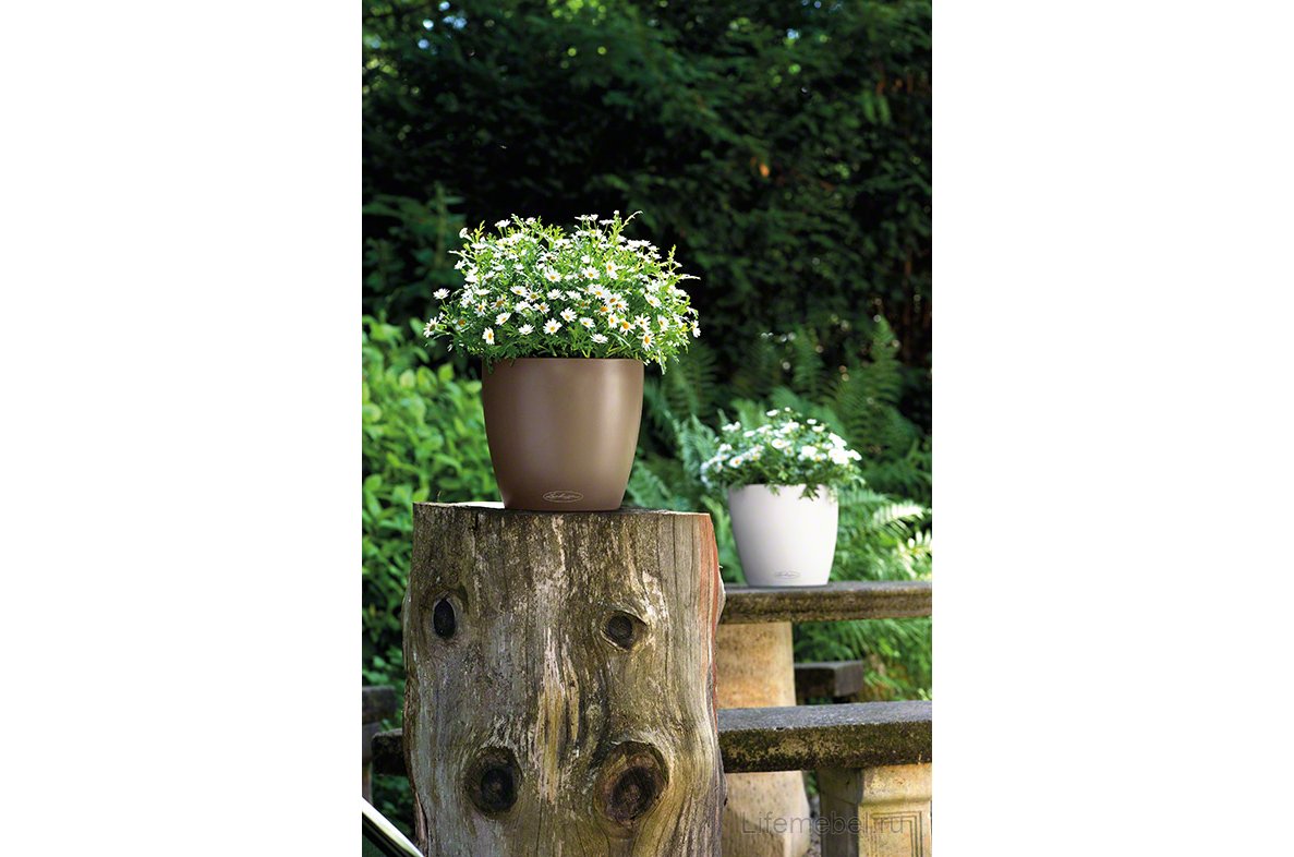 Кашпо Lechuza 13203 CLASSICO Color 28 мускатный