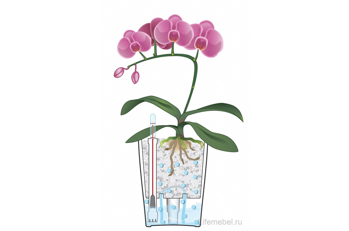 Кашпо Lechuza 14903 DELTINI Антрацитовый металлик