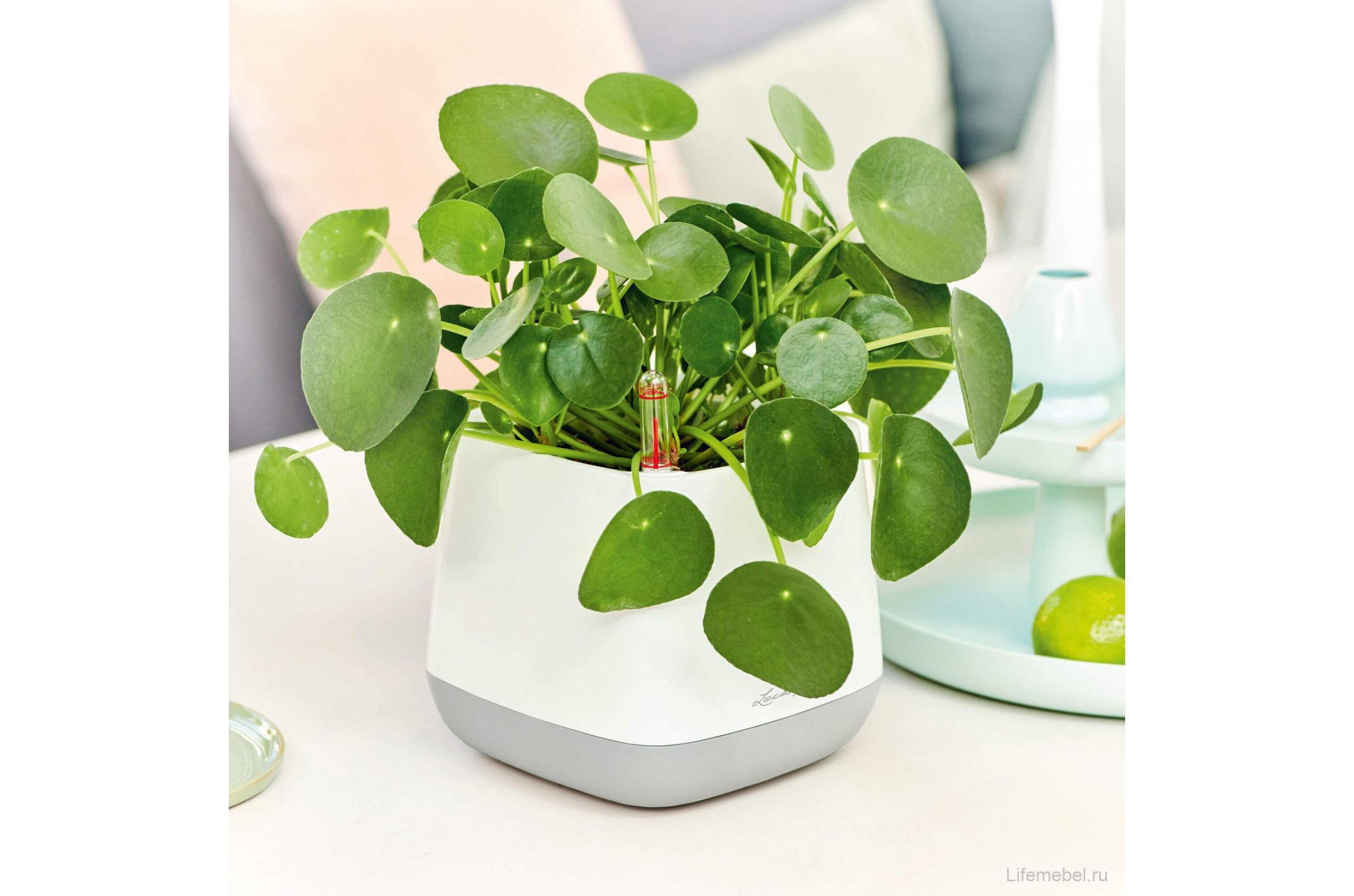 Кашпо Кашпо Юла белое / серое