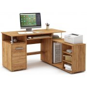 дуб золотистый