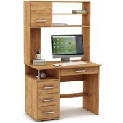 дуб золотистый