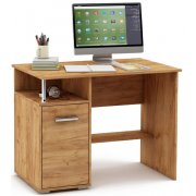 дуб золотистый