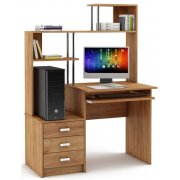 дуб золотистый