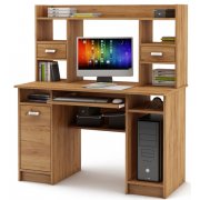 дуб золотистый