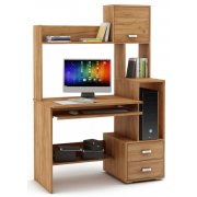 дуб золотистый