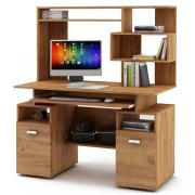 дуб золотистый