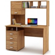 дуб золотистый