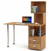 дуб золотистый