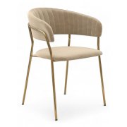 бежевый / золотой