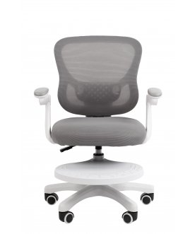 Компьютерное кресло Chairman CH106