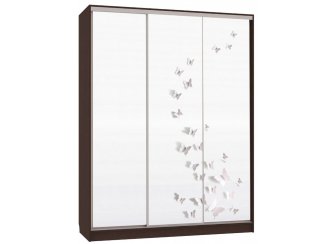 Шкаф-купе Бассо 7