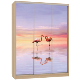 Шкаф-купе Бассо 7