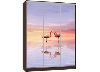 Шкаф-купе Бассо 7