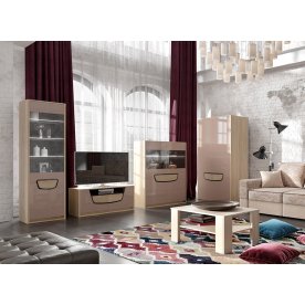 Гостиная Хортен комплектация 2 дуб сонома / мокко глянец