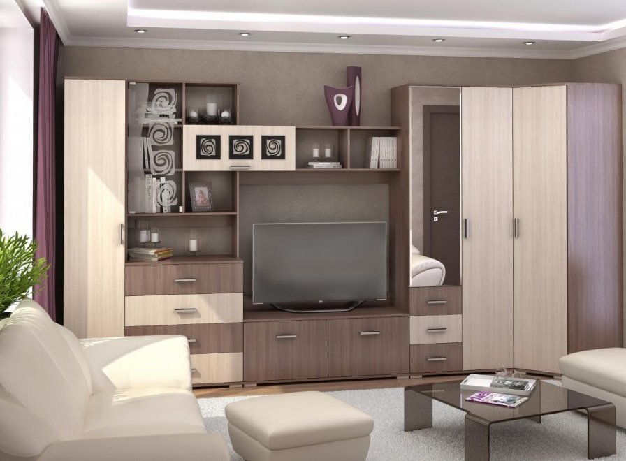 Гостиная Рошель-02 ясень шимо тёмный / ясень шимо светлый