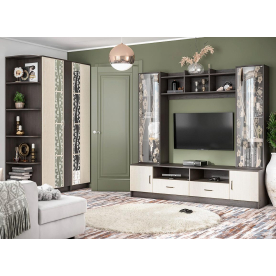 Модульная гостиная Артизан комплектация 2