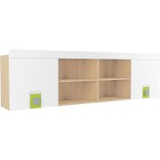 туя светлая / лайм