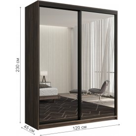 Шкаф-купе Кааппи 1