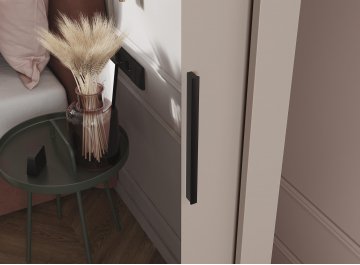 Шкаф-купе Дрим-2 2 м