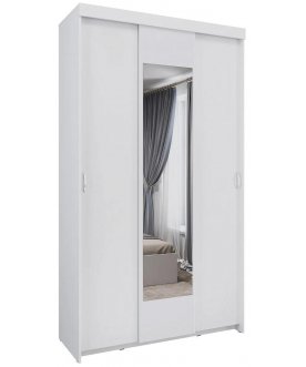 Шкаф-купе Ари-9
