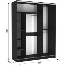 Шкаф-купе Бассо 10-600 49