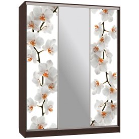 Шкаф-купе Бассо 10-600 83