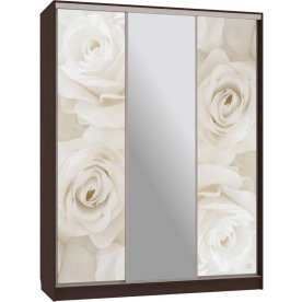 Шкаф-купе Бассо 10-600