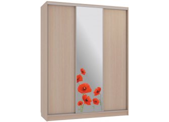 Шкаф-купе Бассо 1-600