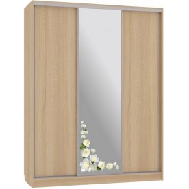 Шкаф-купе Бассо 1-600