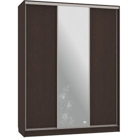 Шкаф-купе Бассо 1-600