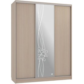 Шкаф-купе Бассо 1-600