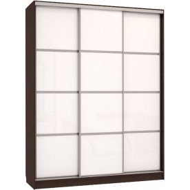 Шкаф-купе Бассо 2-600