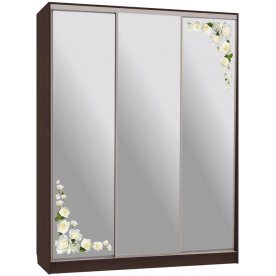 Шкаф-купе Бассо 4-600