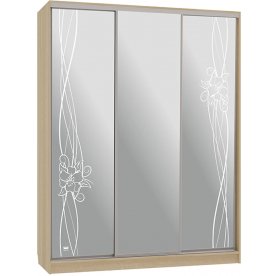 Шкаф-купе Бассо 4-600