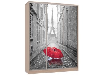 Шкаф-купе Бассо 7