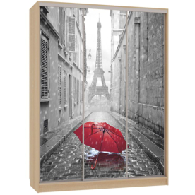 Шкаф-купе Бассо 7