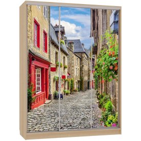 Шкаф-купе Бассо 7-600