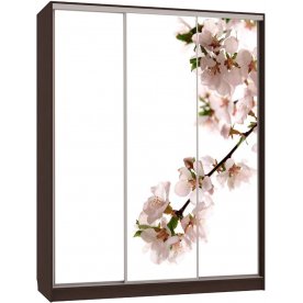 Шкаф-купе Бассо 7-600