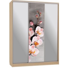 Шкаф-купе Бассо 9-600 78