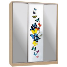 Шкаф-купе Бассо 9-600 88