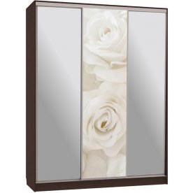 Шкаф-купе Бассо 9-600