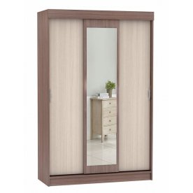 Шкаф-купе Бася