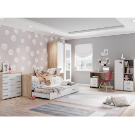 Шкаф-купе Бланка