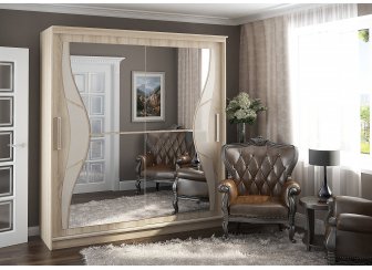 Шкаф-купе Дарина 2 м