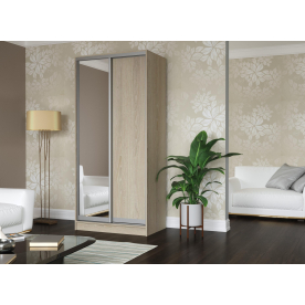 Шкаф-купе Дуэт-2