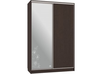 Шкаф-купе Гранд 1-600